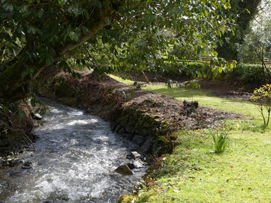 A flowing creek with plants and trees along its banks at Little Retreat in Liskeard