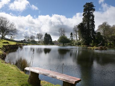 A pond with a wooden bench and trees around at Little Retreat in Liskeard