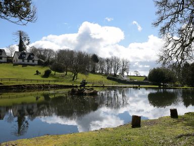 A pond with a sculpture in the middle surrounded by grass and trees with houses in the background at Little Retreat in Liskeard