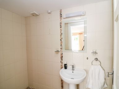 A bathroom with a pedestal sink mirror towel ring and soap dispenser at Grange Farmhouse in Fethard-on-Sea County Wexford