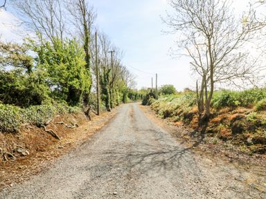 A country gravel road lined with trees and bushes on both sides at Grange Farmhouse in Fethard-on-Sea County Wexford