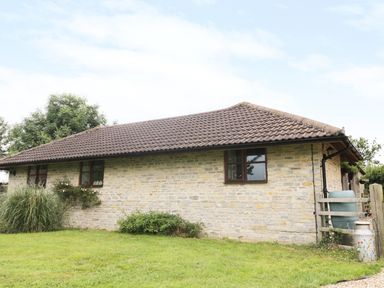 A stone building with a tiled roof and three windows surrounded by grass and bushes at The Old Goat Barn at Trout Cottage in Somerton