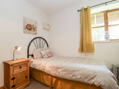 A bedroom with a single bed a nightstand with a lamp and a window with curtains at The Old Goat Barn at Trout Cottage in Somerton