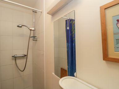 A bathroom shower area with a handheld showerhead curtain and a mirror on the wall at The Old Goat Barn at Trout Cottage in Somerton