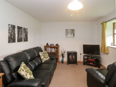 A living room with black leather sofas a small wooden bookshelf TV and an electric fireplace at The Old Goat Barn at Trout Cottage in Somerton