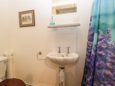 A bathroom with a toilet a sink a mirror a soap dispenser a towel holder and a floral shower curtain at The Old Goat Barn at Trout Cottage in Somerton