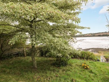 A garden with a tree and grass overlooking a river with hills in the background at Clamoak Cottage in Clamoak near Bere Alston