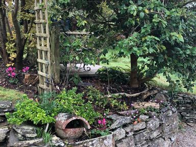 A garden area with stone walls plants a wooden trellis and a tree at Clamoak Cottage Clamoak near Bere Alston