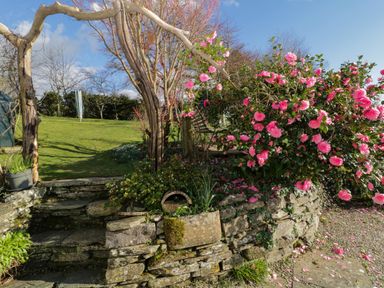 A stone wall with pink flowers and a wooden archway leading to a grassy garden at Clamoak Cottage in Clamoak near Bere Alston