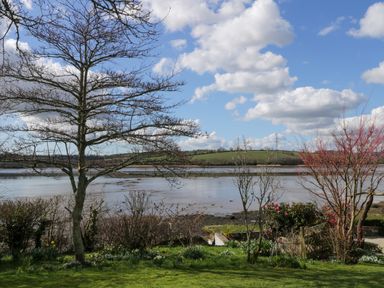 A garden with trees and shrubs overlooking a body of water with hills in the background at Clamoak Cottage in Clamoak near Bere Alston