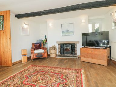 A living room with a wood burning stove a leather armchair a large television on a wooden chest and a patterned rug at Clamoak Cottage in Clamoak near Bere Alston