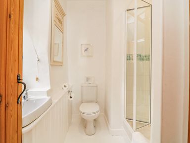 A small bathroom with a toilet sink mirror and shower at Clamoak Cottage Clamoak near Bere Alston