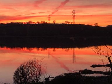 A sunset with power lines and trees reflected in water at Clamoak Cottage in Clamoak near Bere Alston