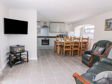 A kitchen and dining area with a wooden table and chairs a green leather sofa and armchair and a wall-mounted television at Cilgwyn Bach in Llandysul