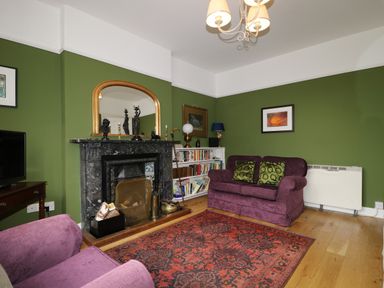 A living room with green walls purple sofas a red patterned rug and a fireplace at Dale House in Lorton