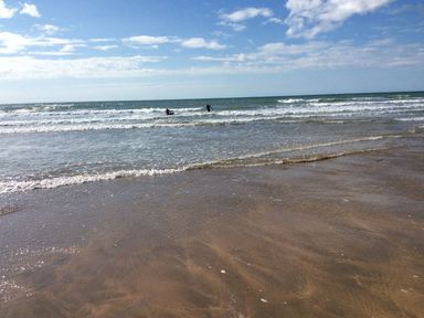 A beach with waves and two people in the water at Driftwood in Bude