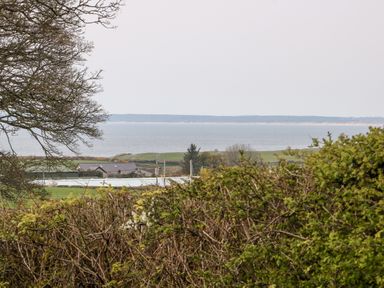 A landscape with bushes and a large tree overlooking houses and fields by the sea at Coetsiws in Clynnog Fawr