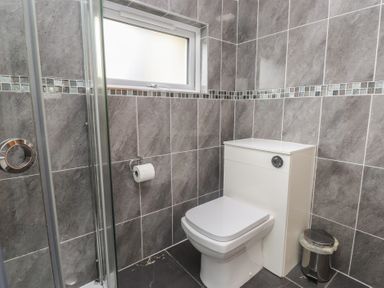 A bathroom with a shower, toilet, and waste bin at Coetsiws in Clynnog Fawr