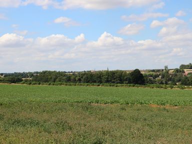 An agricultural field with green crops and trees in the background under a partly cloudy sky at Tickencote in Exton Rutland