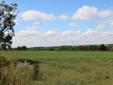 A field with grass and crops under a partly cloudy sky with trees in the distance at Tickencote Exton Rutland