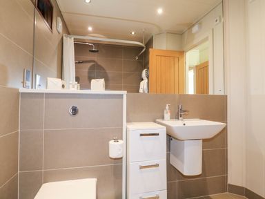 A bathroom with a toilet, sink, small storage unit, shower area with curtain and wooden door at Tickencote in Exton Rutland