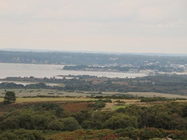 A landscape with trees fields and water with buildings in the distance at The Compass in Swanage