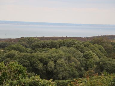 A view of trees with hills and sea in the background at The Compass in Swanage