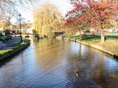 A river with ducks swimming trees with autumn leaves and a stone bridge in a park at Puffitts Cottage in Bourton-on-the-Water