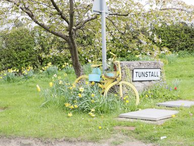 A yellow bicycle with flower pots leaning against a pole next to a tree and a Tunstall sign in a grassy area