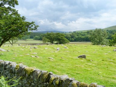 A grassy field with scattered rocks and trees behind a stone wall at 16 Badgers Retreat in Richmond