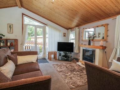 A living room with a television and a fireplace at The Cedars South Lakeland Leisure Village