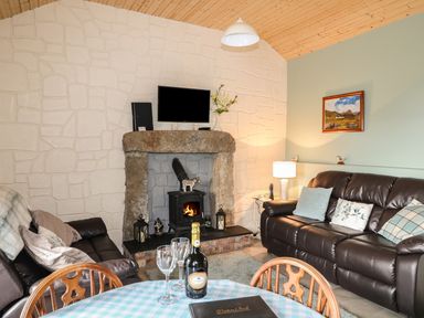 A sitting room with two brown leather sofas a stone fireplace with a fire and a TV above at Pat White's Cottage Rostrevor
