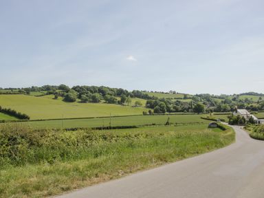 A country road next to green fields and trees at Shepherd's Rest in Montgomery