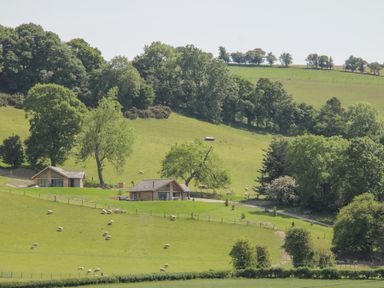 Two houses on a hillside with trees and sheep grazing around at Shepherd's Rest in Montgomery