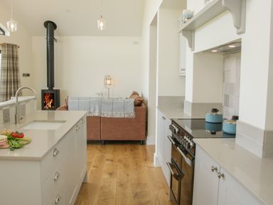 A kitchen with a countertop on the left and stove on the right with a brown sofa and black wood stove in the background at Shepherd's Rest in Montgomery