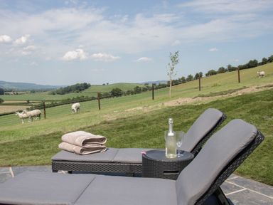 Two lounge chairs with towels and a bottle with glasses outdoors overlooking a field with sheep at Shepherd's Rest in Montgomery