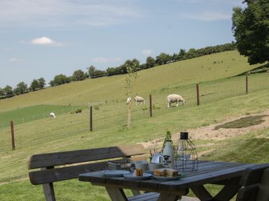 An outdoor wooden table and bench with plates and a bottle overlooking a fenced grassy field with sheep at Shepherd's Rest in Montgomery