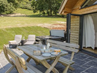 An outdoor patio with a wooden picnic table and benches cups plates cake milk bottle lounge chairs and a hot tub at Shepherd's Rest in Montgomery