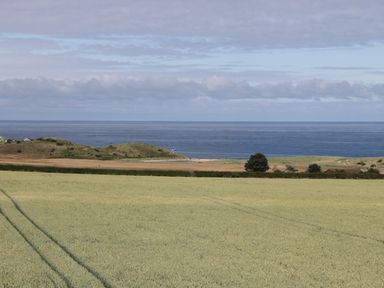 A field with crops and a body of water with hills and trees in the background at Emblestones in Embleton
