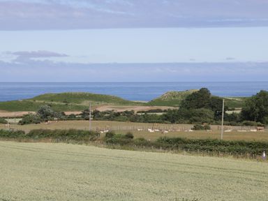A field with cows and trees in the foreground and hills with the sea in the background at Emblestones in Embleton