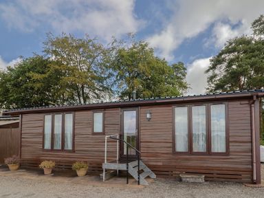 A wooden cabin with steps and windows at The Cabin at East Hill Pride Four Elms Hill Nr. Sidmouth