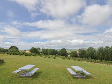 An outdoor area with picnic tables and trees at The Cabin at East Hill Pride Four Elms Hill Nr. Sidmouth