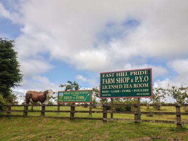 A farm shop sign with cow statue at East Hill Pride Four Elms Hill Nr. Sidmouth