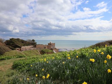 A coastal view with flowers and a building by the sea at The Cabin at East Hill Pride Four Elms Hill Nr. Sidmouth