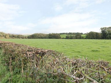 A green field with a hedge in the foreground and trees in the distance at Coney Garth Barn in Beckermet