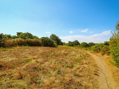 A dirt path running alongside a grassy field with bushes and trees under a blue sky at Howards Hill West in Cromer