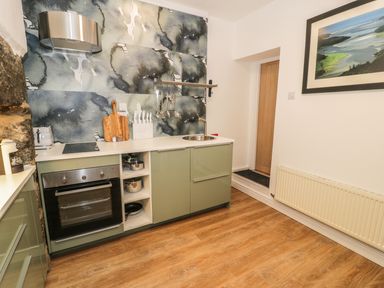 A kitchen with green cabinets an oven a sink hanging utensils and a painting on the wall at Llys Madoc in Porthmadog