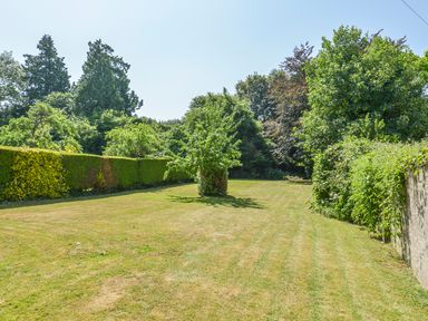 A garden with mown grass a small tree and hedges on the sides at Glebe House in Wells