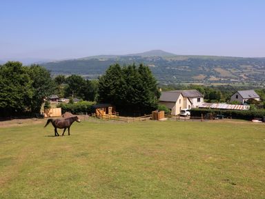 A horse standing in a grassy field near houses and trees with hills in the background at Railway Carriage in Govilon