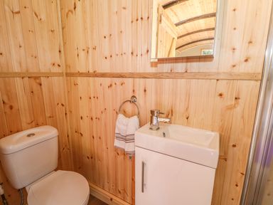 A bathroom with wooden paneled walls a toilet a small sink with a cabinet and a mirror at Railway Carriage in Govilon
